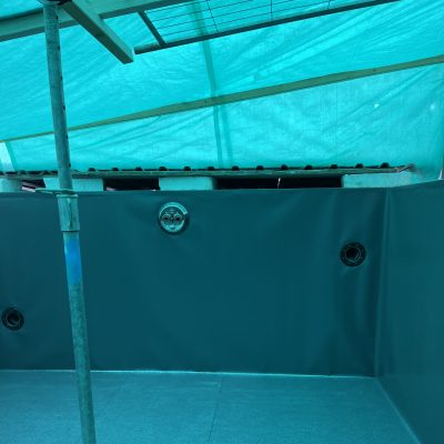 Bio_Pool_Folie_(7)