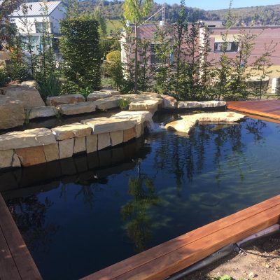 Koi Teich (3)