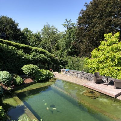 Koi Teich