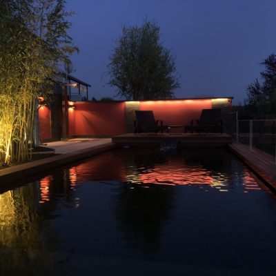 Licht_im_Garten