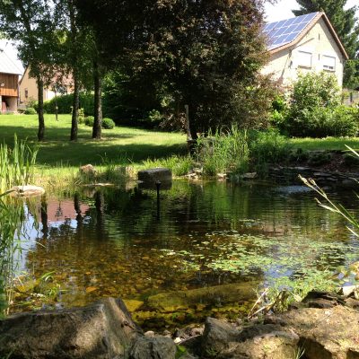 Naturteich